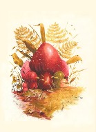 Watercolor - Mushroom