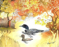 Watercolor - Loon